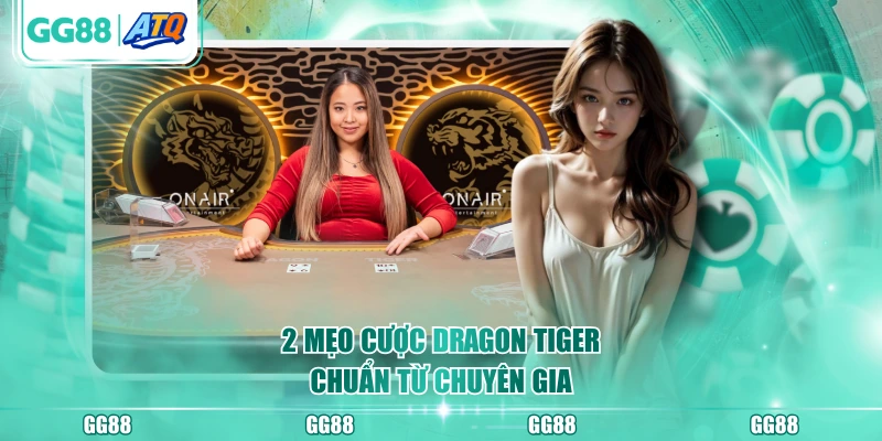 2 mẹo cược Dragon Tiger chuẩn từ chuyên gia