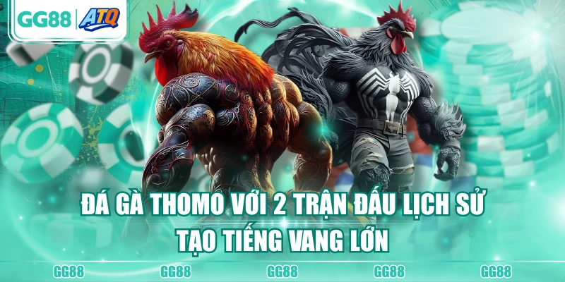 đá gà Thomo